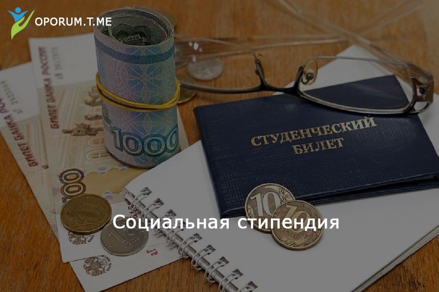 Социальная стипендия: кому положена и как получить Социальная стипендия: кому положена и как получить